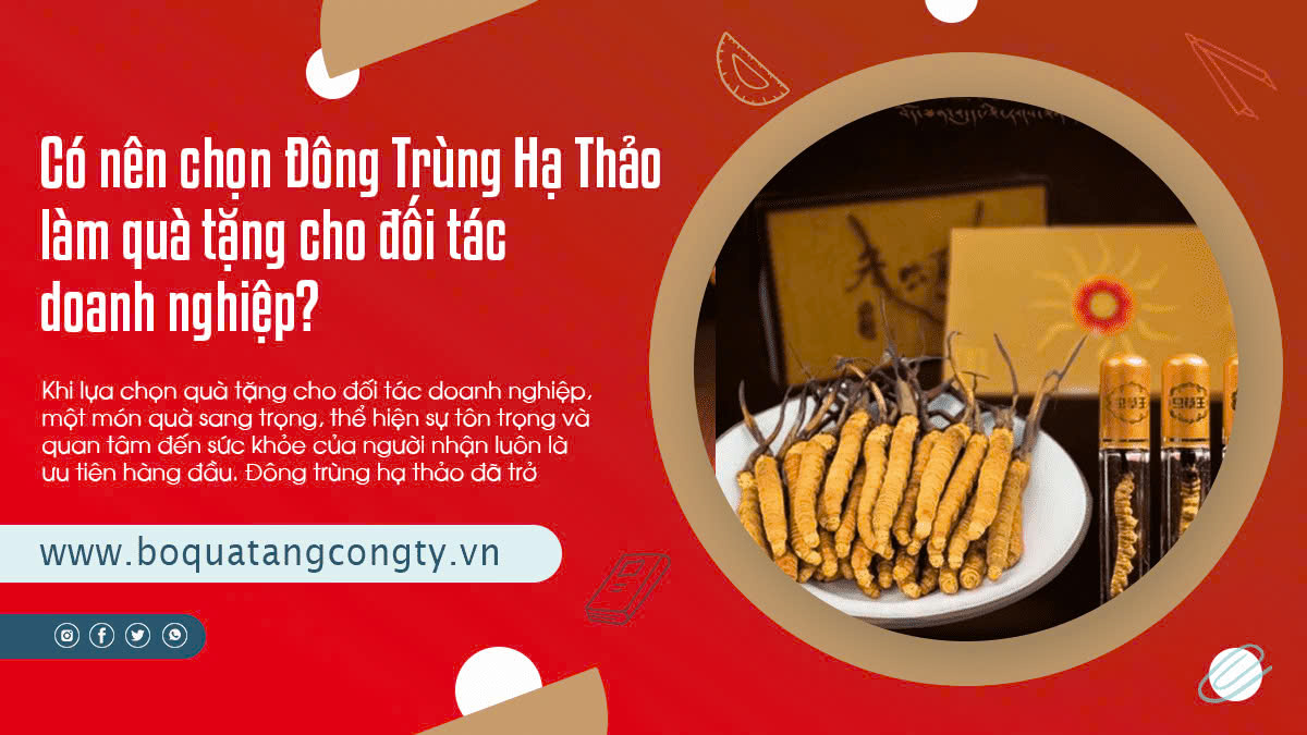 Có nên chọn Đông Trùng Hạ Thảo là quà tặng cho đối tác doanh nghiệp?