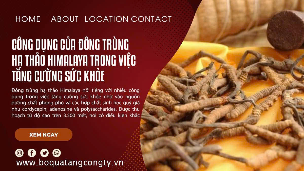 Công Dụng Của Đông Trùng Hạ Thảo Himalaya Trong Việc Tăng Cường Sức Khỏe