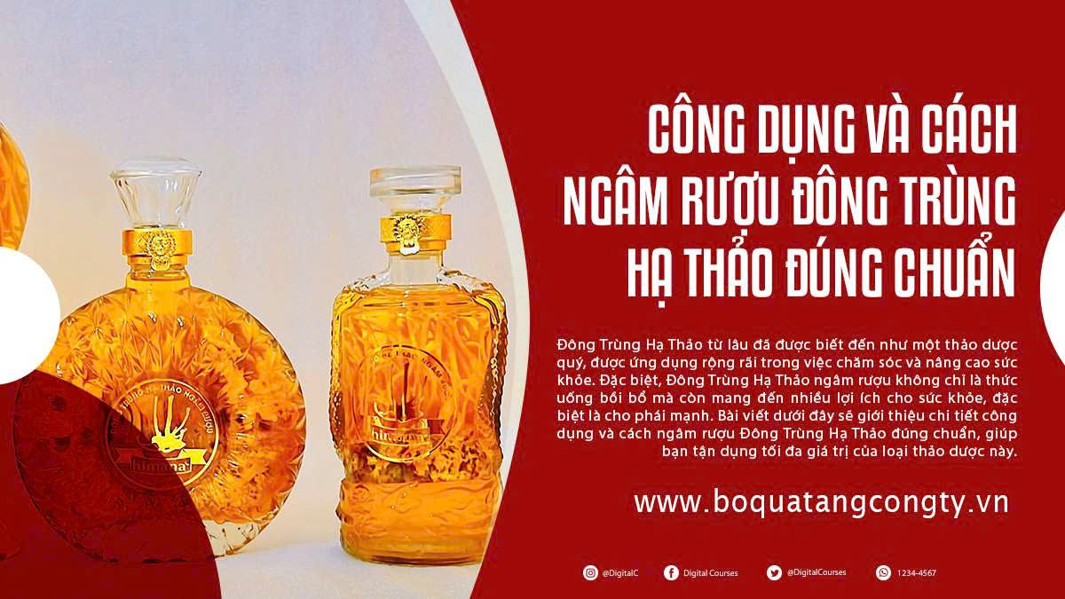 Công Dụng Và Cách Ngâm Rượu Đông Trùng Hạ Thảo Đúng Chuẩn