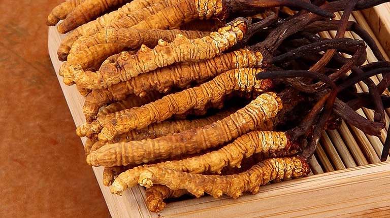 Nguồn gốc có giúp người dùng yên tâm với đông trùng hạ thảo Himalaya hay không?