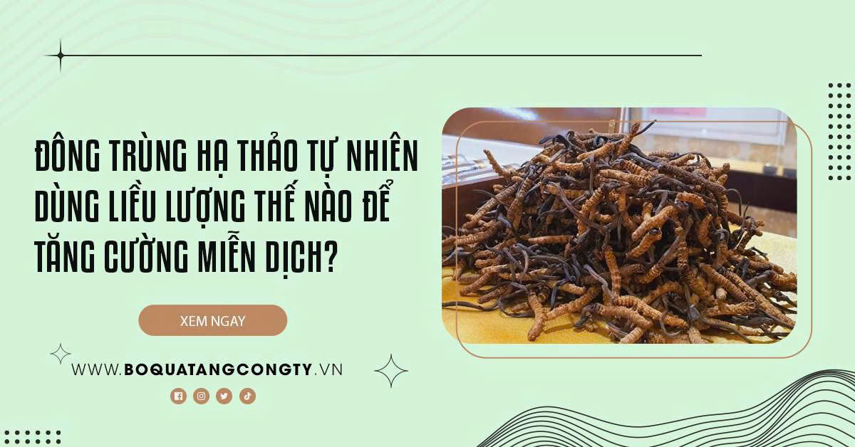 Đông trùng hạ thảo tự nhiên dùng liều lượng thế nào để tăng cường miễn dịch?