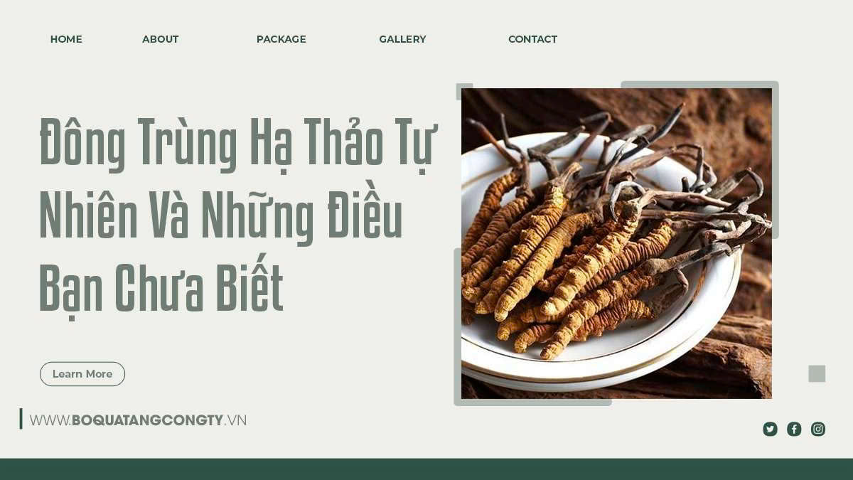 Đông Trùng Hạ Thảo Tự Nhiên Và Những Điều Bạn Chưa Biết