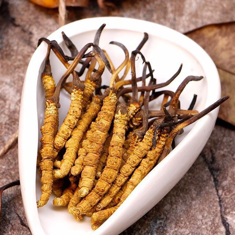 Cách kết hợp Đông trùng hạ thảo Himalaya với chế độ ăn uống lành mạnh