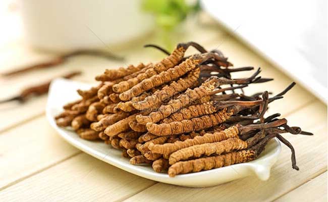 Đông trùng hạ thảo Himalaya giúp phụ nữ trung niên lấy lại năng lượng sống