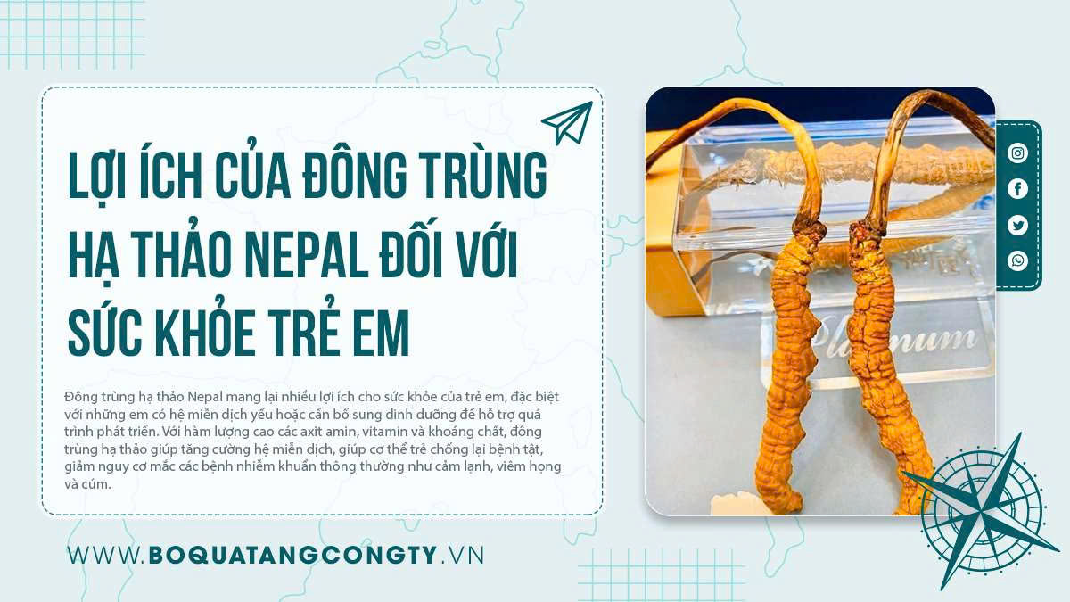 Lợi ích của đông trùng hạ thảo Nepal đối với sức khỏe trẻ em