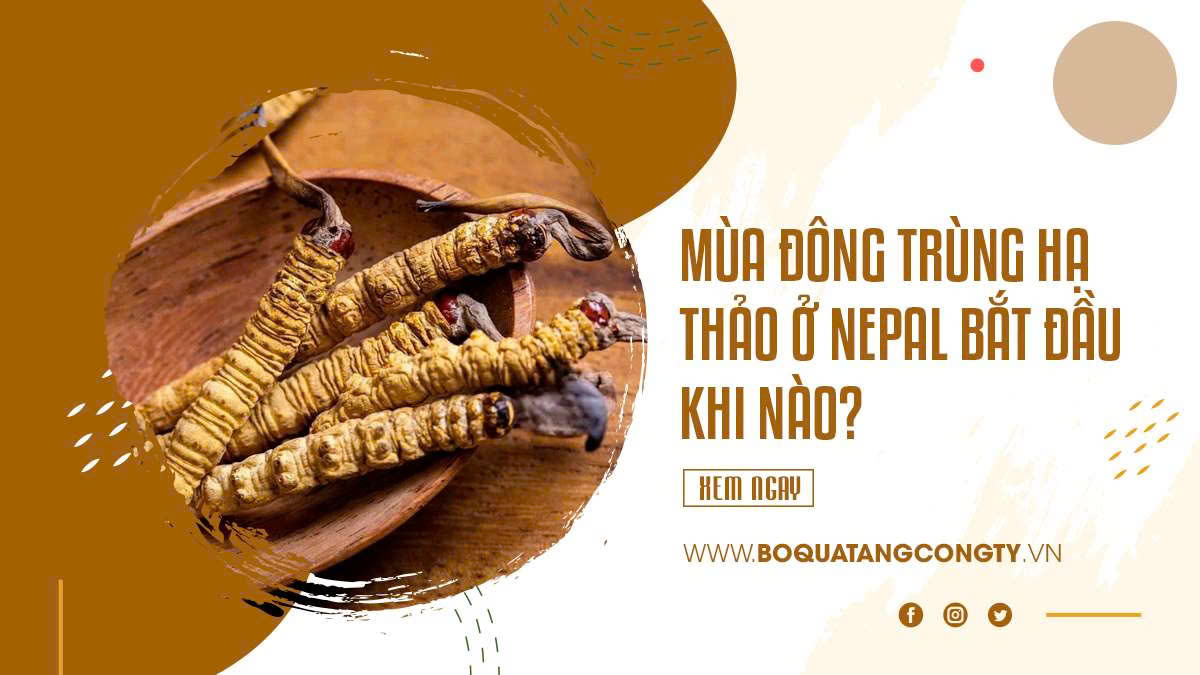 Mùa đông trùng hạ thảo ở Nepal bắt đầu khi nào?