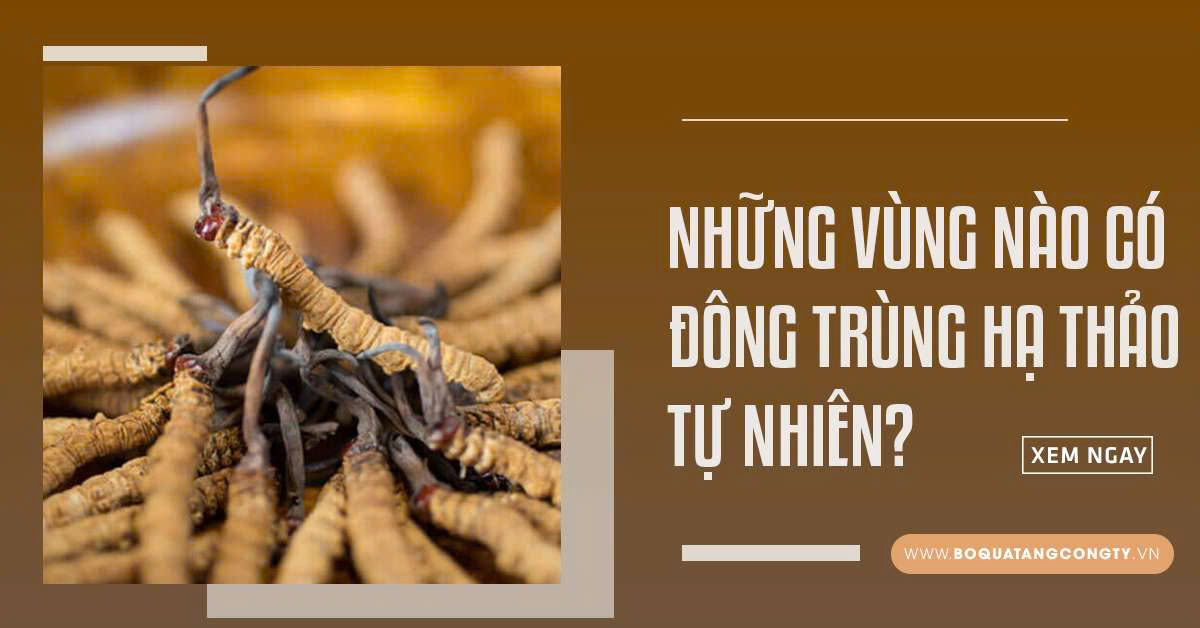 Những Vùng Nào Có Đông Trùng Hạ Thảo Tự Nhiên?