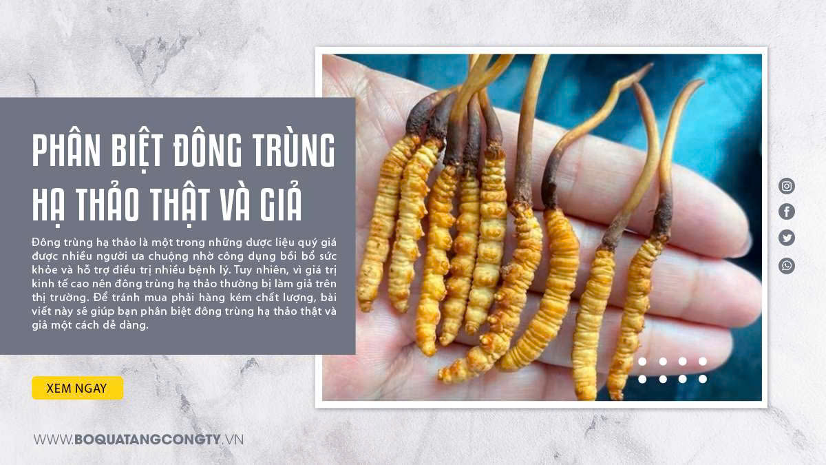 Phân biệt đông trùng hạ thảo thật và giả