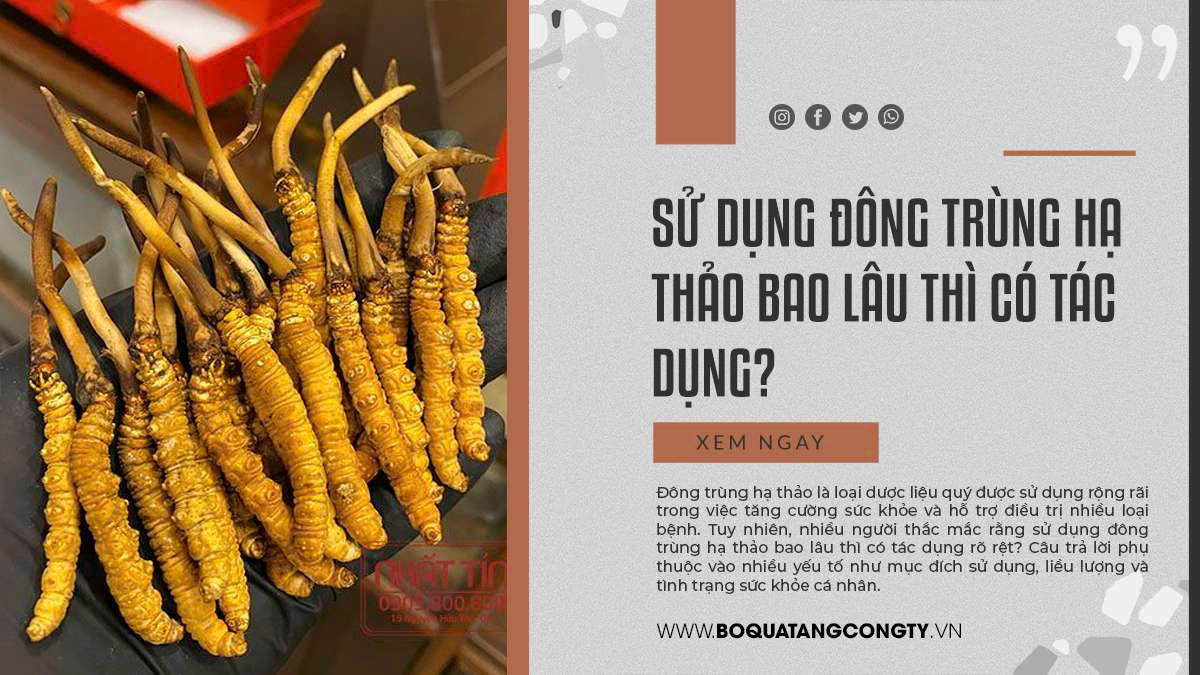 Sử dụng đông trùng hạ thảo bao lâu thì có tác dụng?