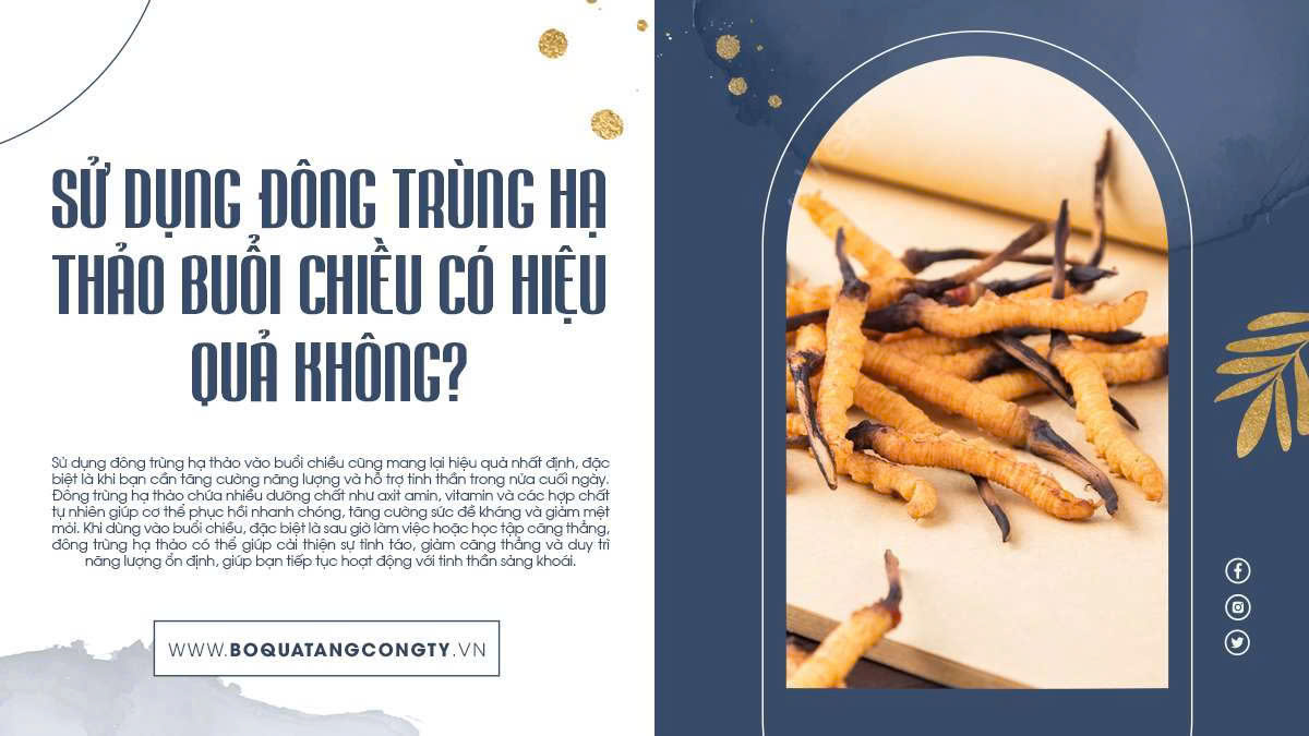 Sử dụng đông trùng hạ thảo buổi chiều có hiệu quả không?