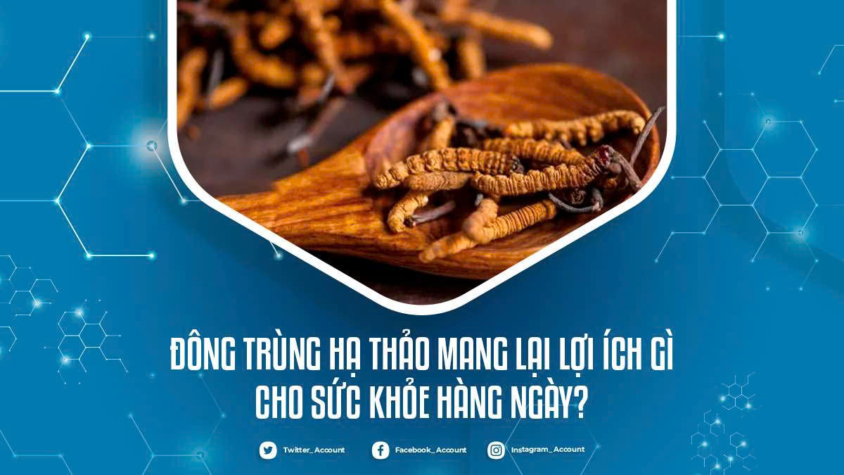 Đông trùng hạ thảo mang lại lợi ích gì cho sức khỏe hàng ngày?