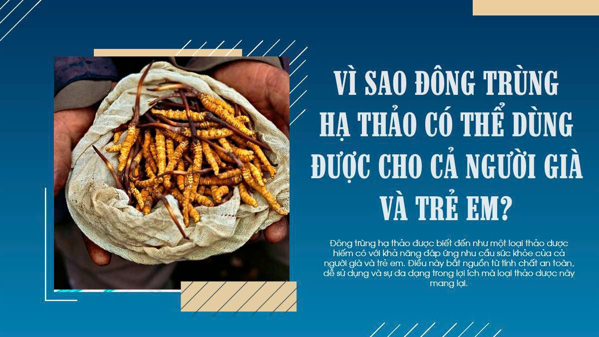 Vì sao đông trùng hạ thảo có thể dùng được cho cả người già và trẻ em?