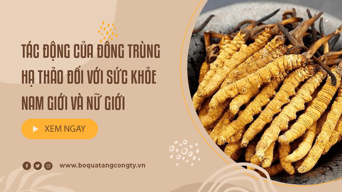 Tác Động Của Đông Trùng Hạ Thảo Đối Với Sức Khỏe Nam Giới Và Nữ Giới