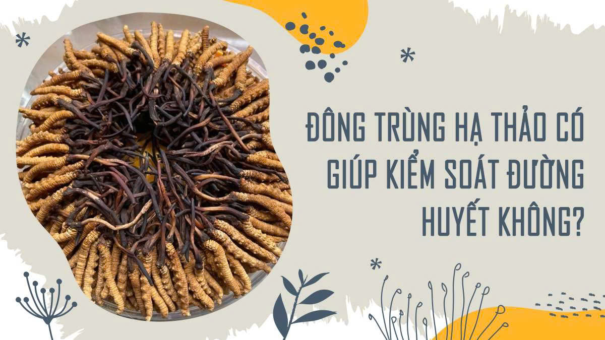 Đông Trùng Hạ Thảo Có Giúp Kiểm Soát Đường Huyết Không?