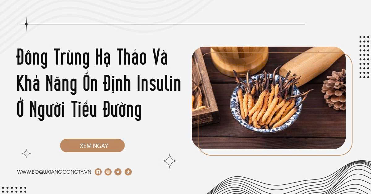 Đông Trùng Hạ Thảo Và Khả Năng Ổn Định Insulin Ở Người Tiểu Đường
