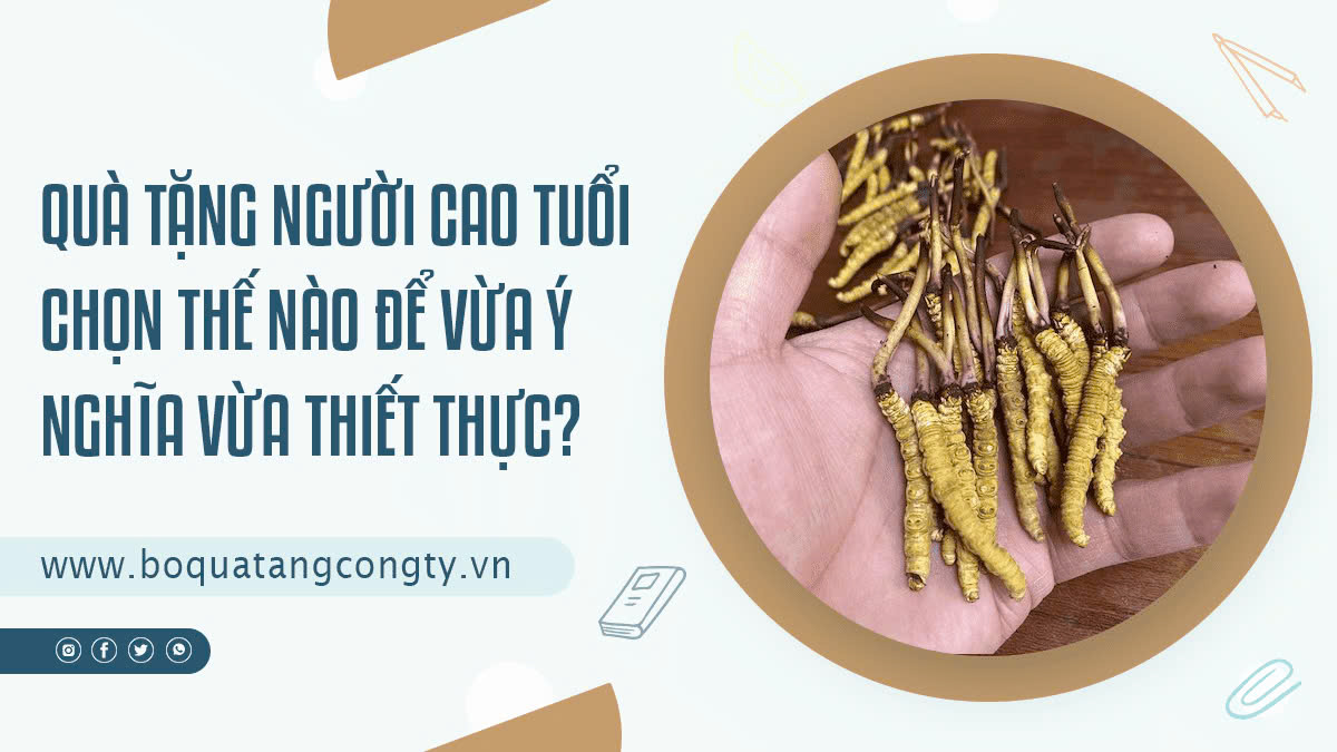 Quà Tặng Người Cao Tuổi – Chọn Thế Nào Để Vừa Ý Nghĩa Vừa Thiết Thực?