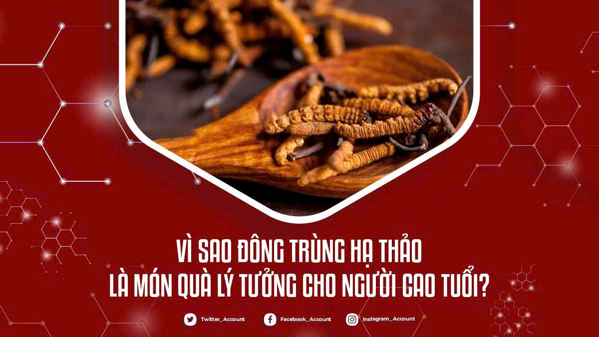 Vì Sao Đông Trùng Hạ Thảo Là Món Quà Lý Tưởng Cho Người Cao Tuổi?