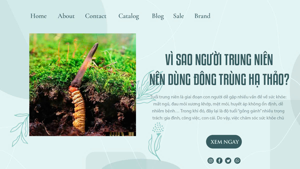 Vì Sao Người Trung Niên Nên Dùng Đông Trùng Hạ Thảo?