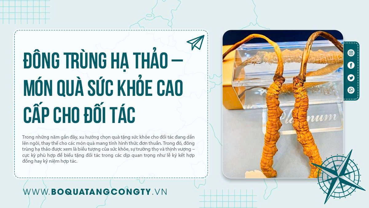 Đông Trùng Hạ Thảo – Món Quà Sức Khỏe Cao Cấp Cho Đối Tác Quốc Tế