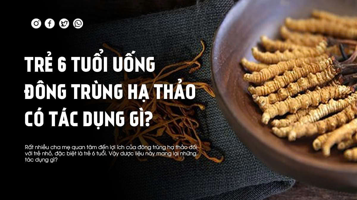 Trẻ 6 Tuổi Uống Đông Trùng Hạ Thảo Có Tác Dụng Gì?