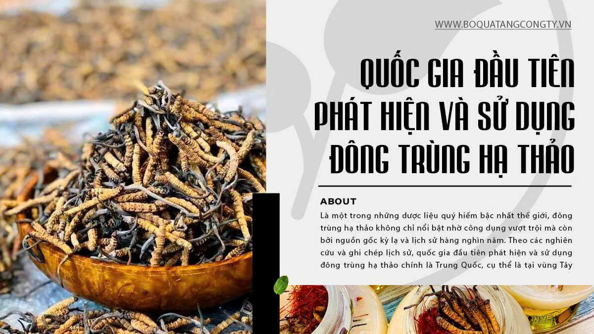 Quốc Gia Đầu Tiên Phát Hiện Và Sử Dụng Đông Trùng Hạ Thảo