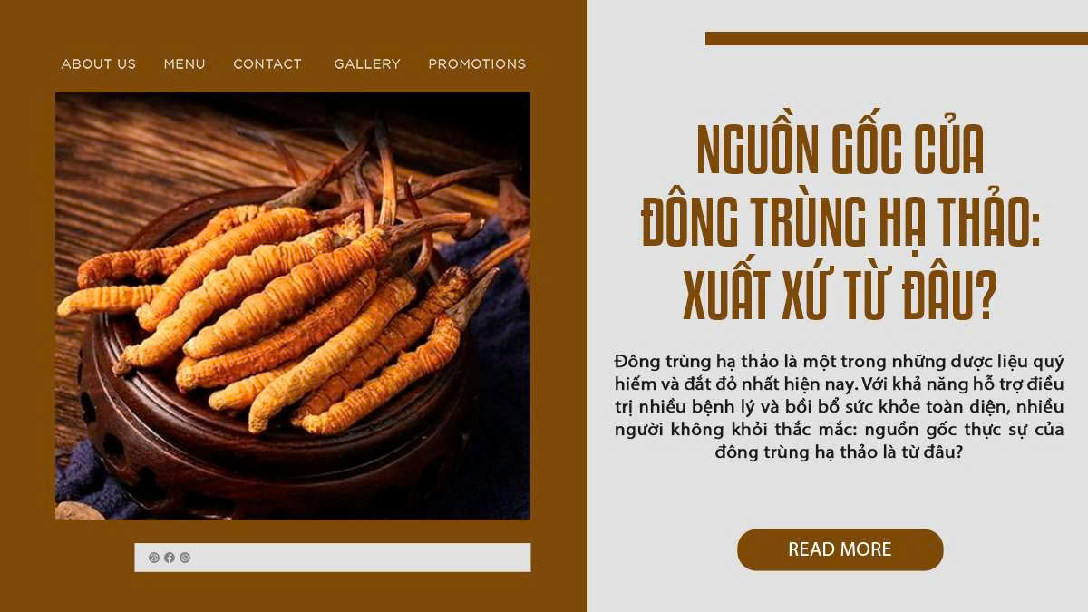 Nguồn Gốc Của Đông Trùng Hạ Thảo: Xuất Xứ Từ Đâu?