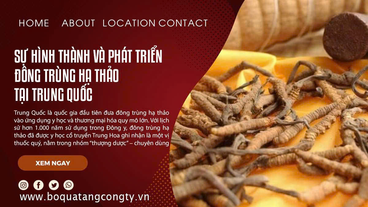 Sự Hình Thành Và Phát Triển Đông Trùng Hạ Thảo Tại Trung Quốc