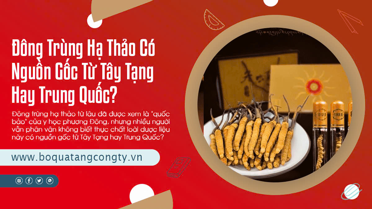 Đông Trùng Hạ Thảo Có Nguồn Gốc Từ Tây Tạng Hay Trung Quốc?