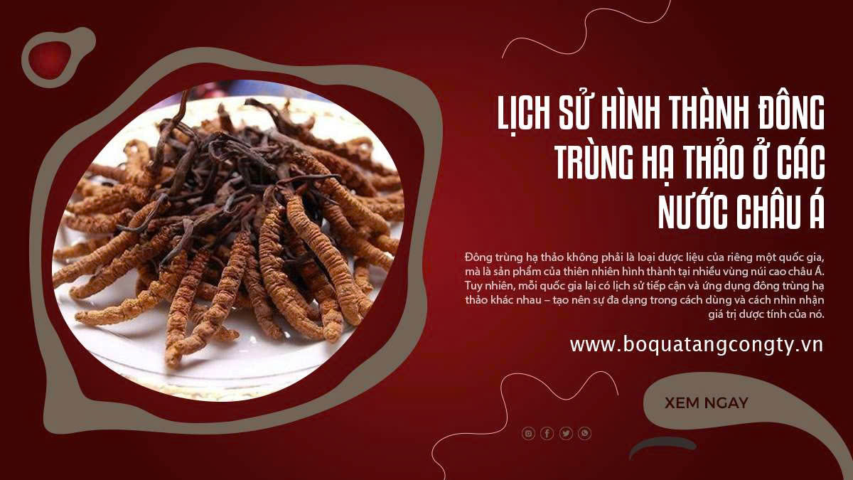 Lịch Sử Hình Thành Đông Trùng Hạ Thảo Ở Các Nước Châu Á