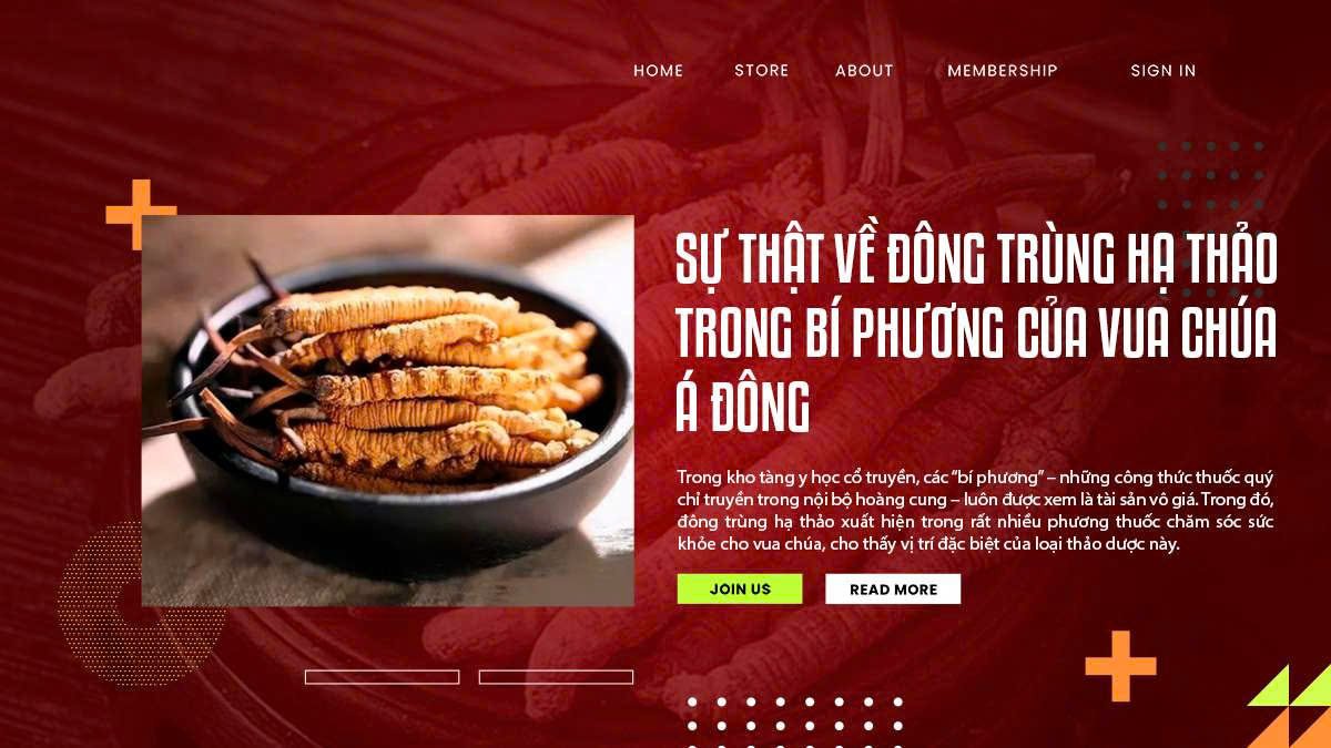Sự Thật Về Đông Trùng Hạ Thảo Trong Bí Phương Của Vua Chúa Á Đông