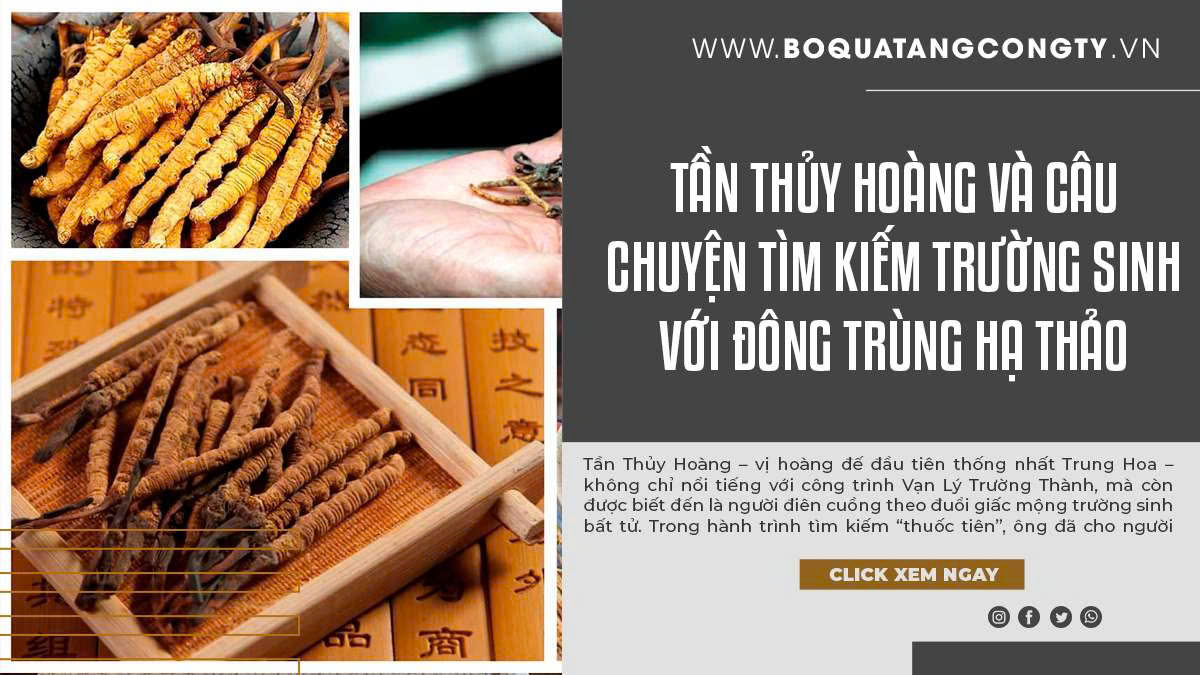 Tần Thủy Hoàng Và Câu Chuyện Tìm Kiếm Trường Sinh Với Đông Trùng Hạ Thảo