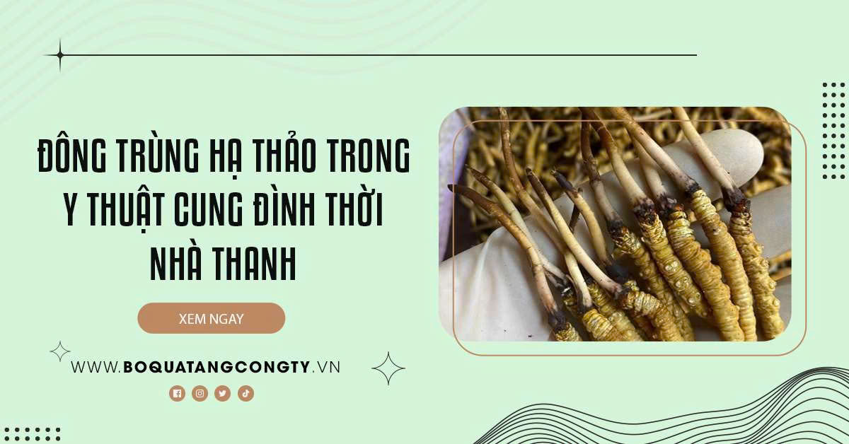 Đông Trùng Hạ Thảo Trong Y Thuật Cung Đình Thời Nhà Thanh