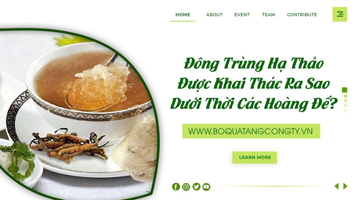 Đông Trùng Hạ Thảo Được Khai Thác Ra Sao Dưới Thời Các Hoàng Đế?