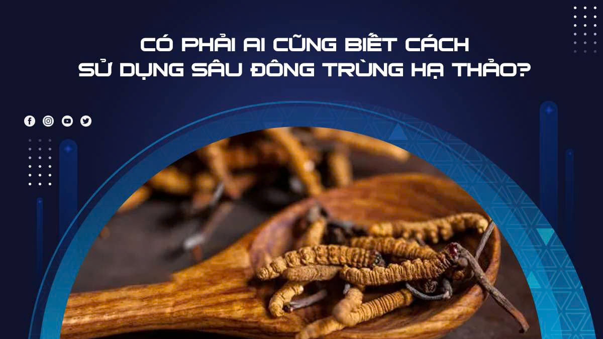Có Phải Ai Cũng Biết Cách Sử Dụng Sâu Đông Trùng Hạ Thảo?