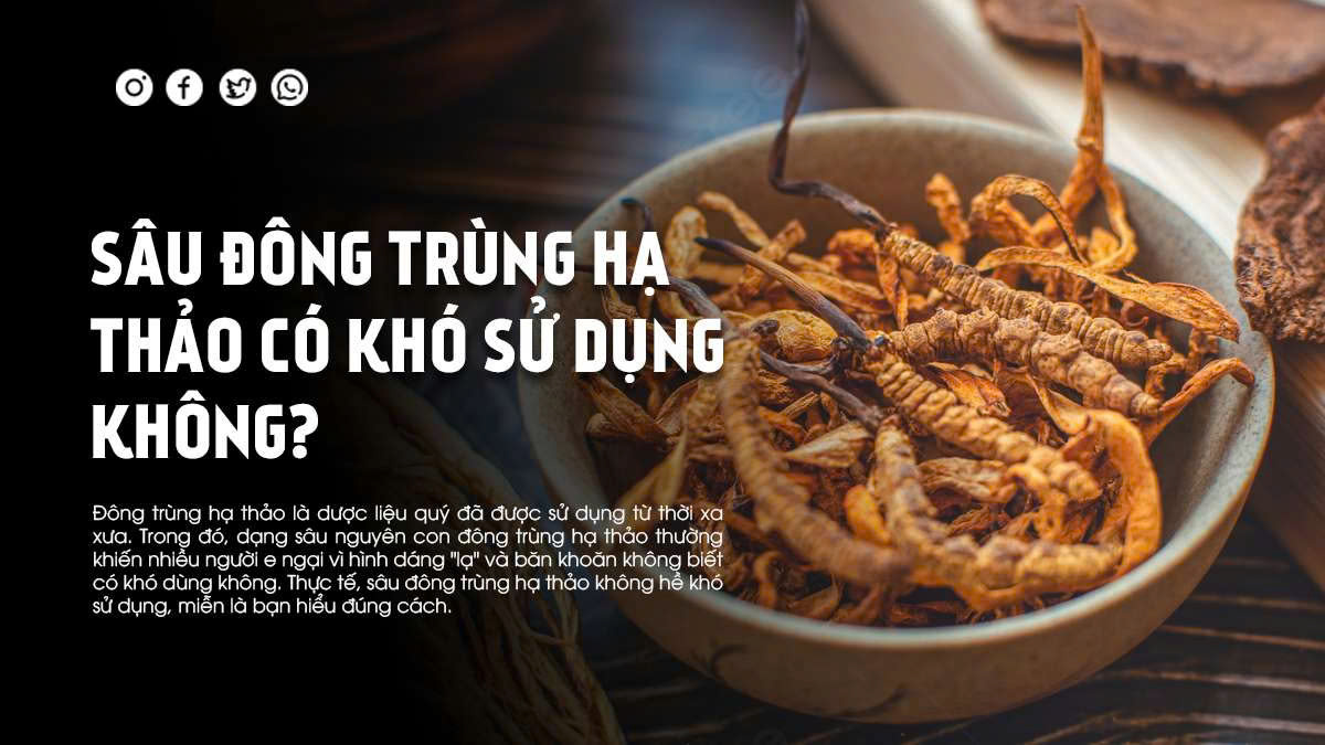 Sâu Đông Trùng Hạ Thảo Có Khó Sử Dụng Không?