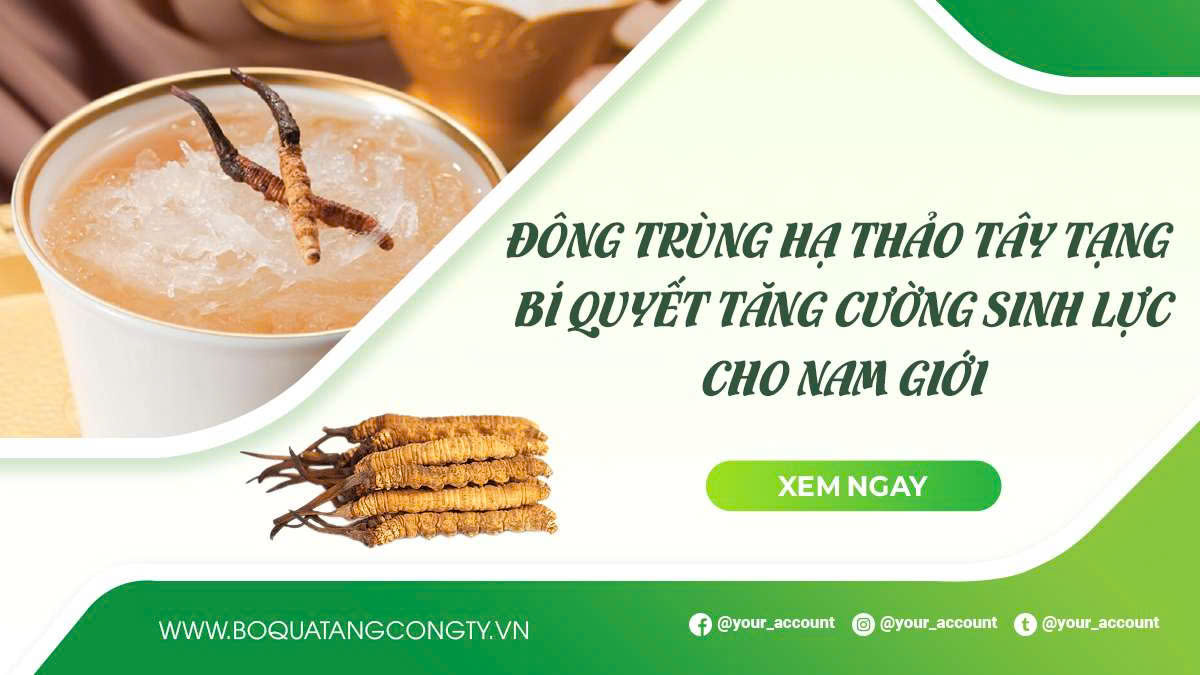 Đông Trùng Hạ Thảo Tây Tạng – Bí Quyết Tăng Cường Sinh Lực Cho Nam Giới