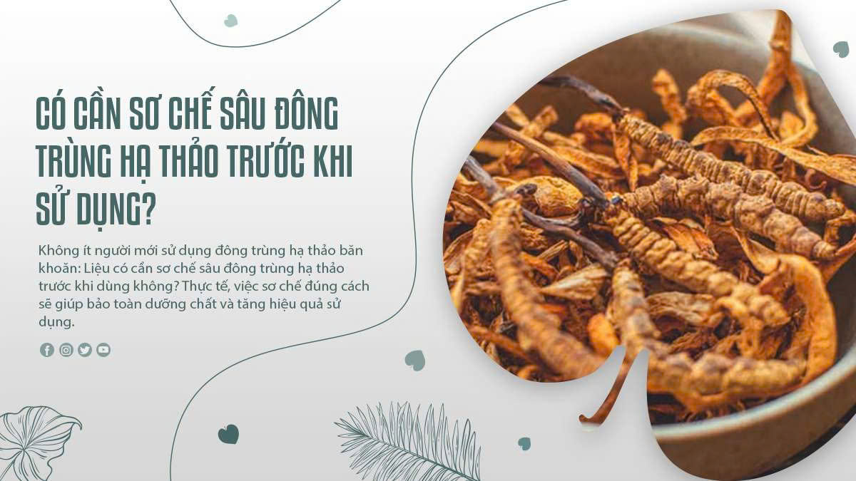 Có Cần Sơ Chế Sâu Đông Trùng Hạ Thảo Trước Khi Sử Dụng?