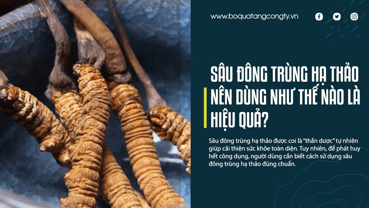 Sâu Đông Trùng Hạ Thảo Nên Dùng Như Thế Nào Là Hiệu Quả?