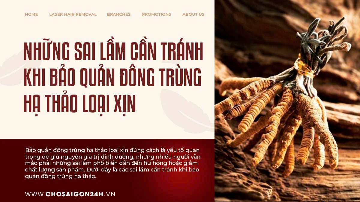 Những sai lầm cần tránh khi bảo quản đông trùng hạ thảo loại xịn