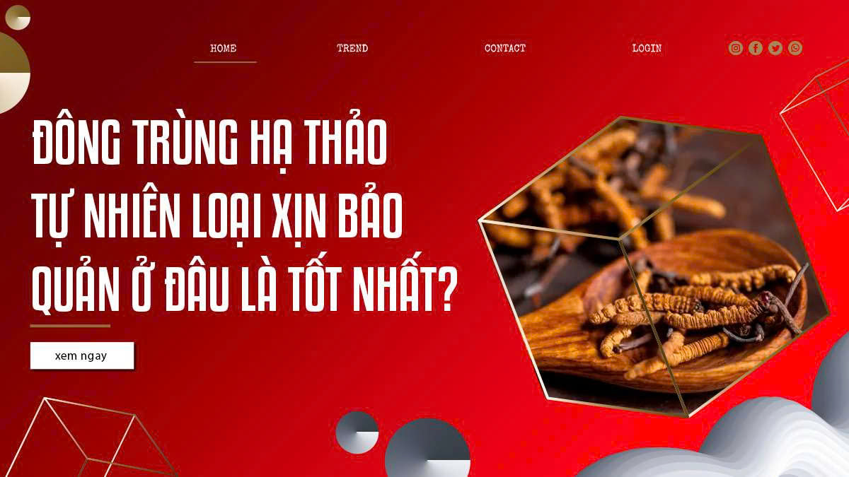 Đông trùng hạ thảo tự nhiên loại xịn bảo quản ở đâu là tốt nhất?