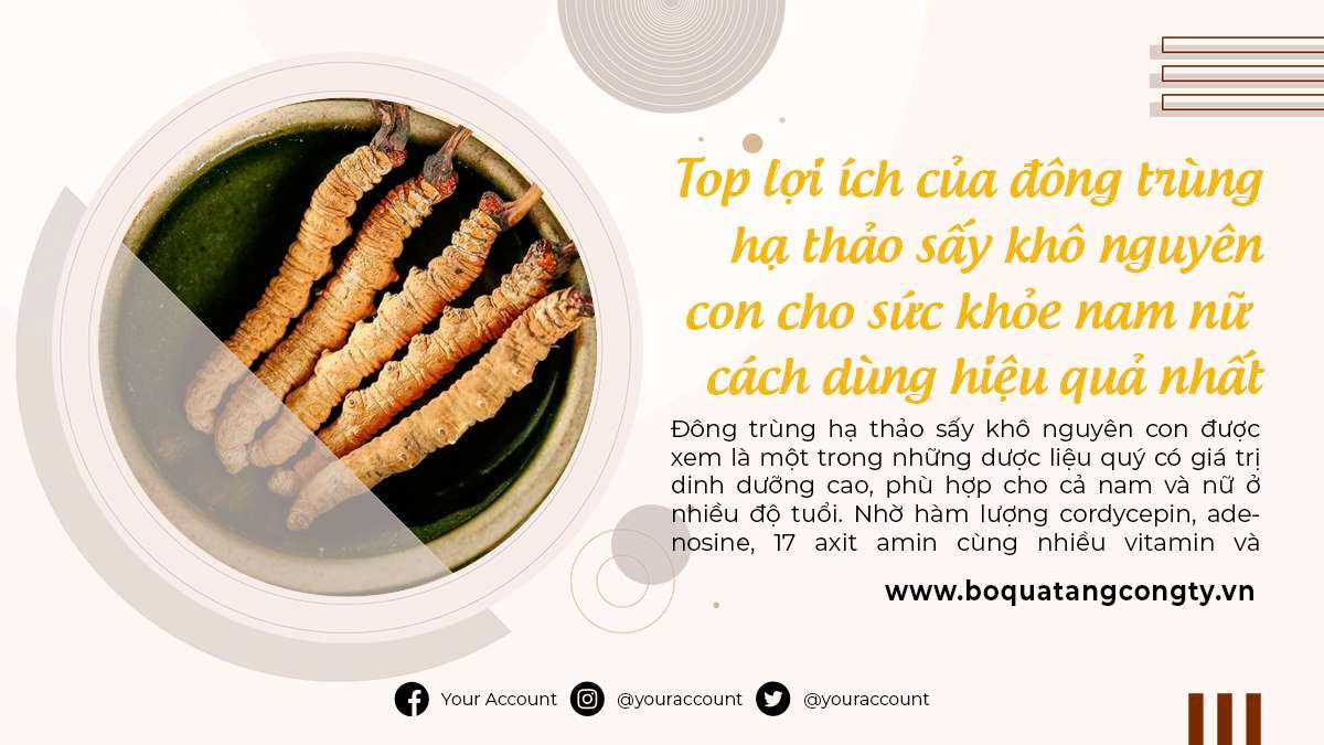 Top lợi ích của đông trùng hạ thảo sấy khô nguyên con cho sức khỏe nam nữ – cách dùng hiệu quả nhất