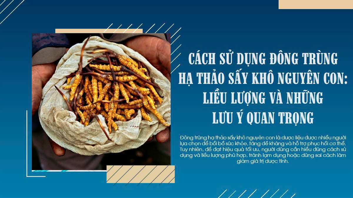 Cách sử dụng đông trùng hạ thảo sấy khô nguyên con: Liều lượng và những lưu ý quan trọng