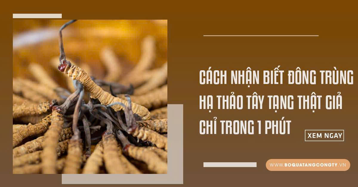 Cách Nhận Biết Đông Trùng Hạ Thảo Tây Tạng Thật Giả Chỉ Trong 1 Phút