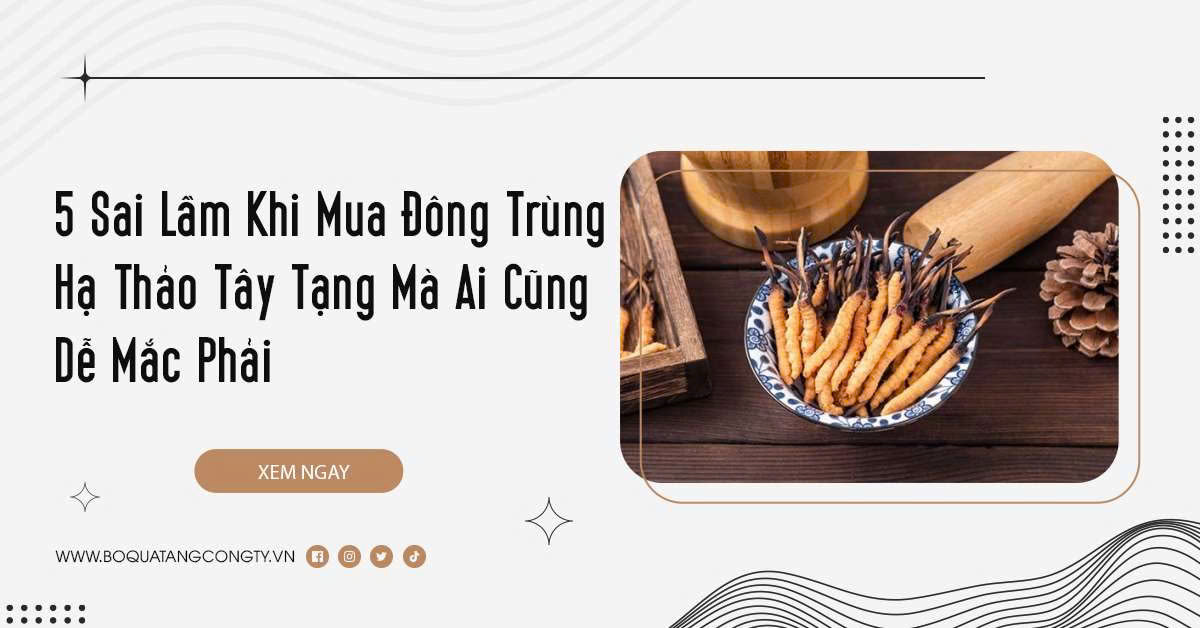 5 Sai Lầm Khi Mua Đông Trùng Hạ Thảo Tây Tạng Mà Ai Cũng Dễ Mắc Phải