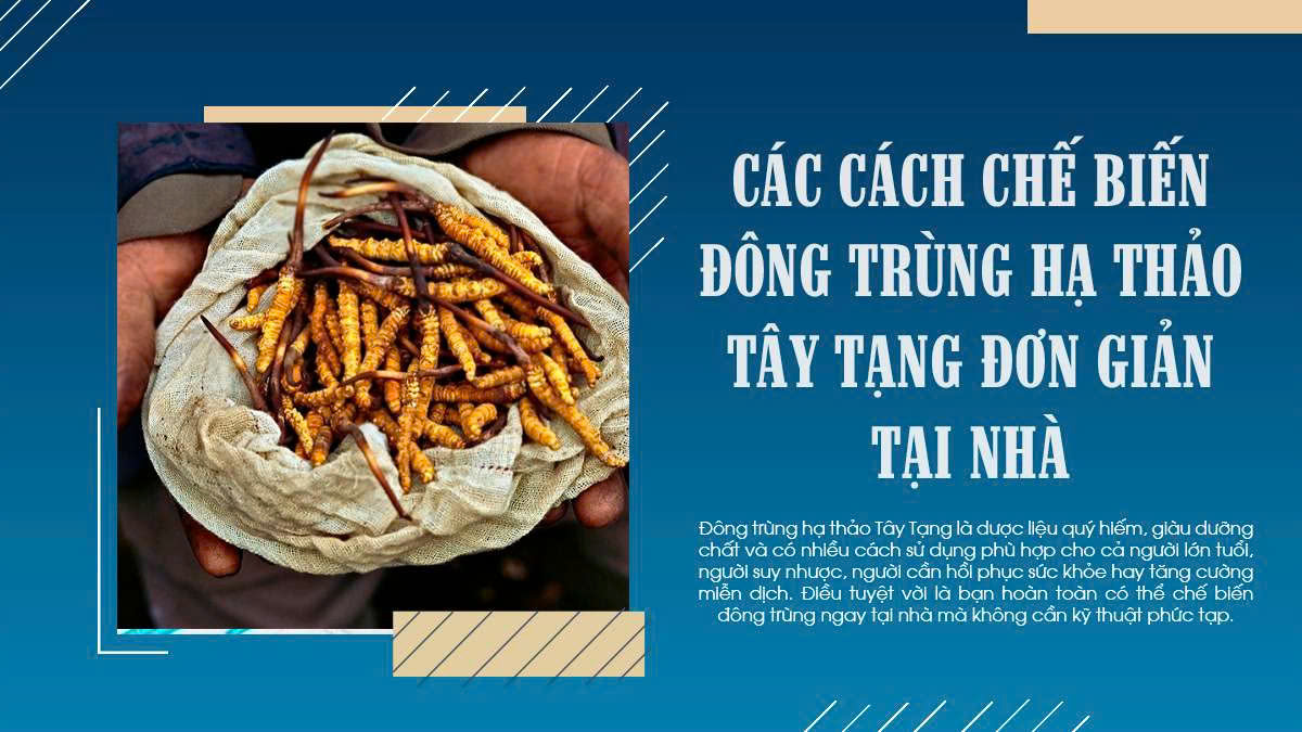 Các Cách Chế Biến Đông Trùng Hạ Thảo Tây Tạng Đơn Giản Tại Nhà