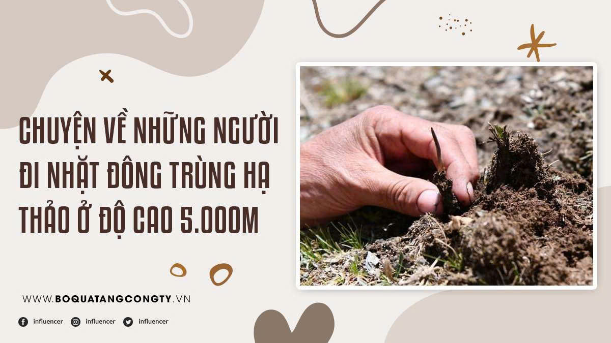 Chuyện Về Những Người Đi Nhặt Đông Trùng Hạ Thảo Ở Độ Cao 5.000m