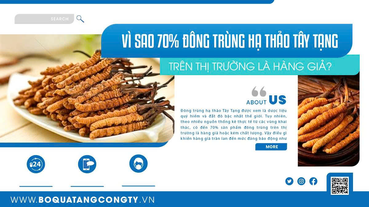 Vì Sao 70% Đông Trùng Hạ Thảo Tây Tạng Trên Thị Trường Là Hàng Giả?