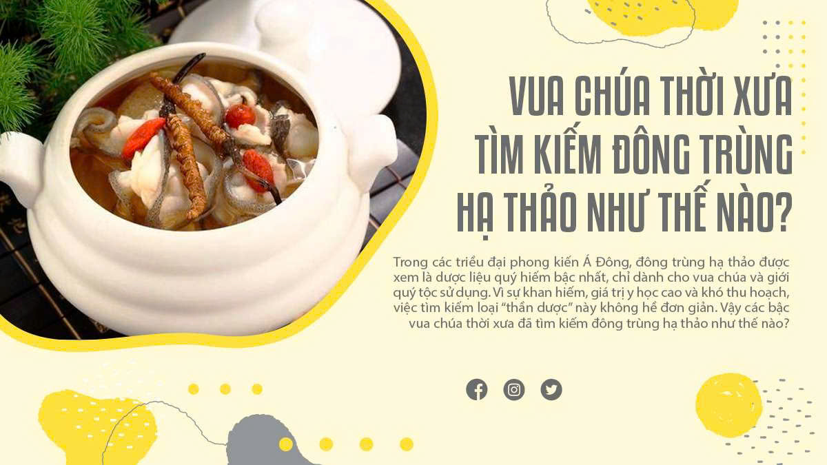 Vua Chúa Thời Xưa Tìm Kiếm Đông Trùng Hạ Thảo Như Thế Nào?