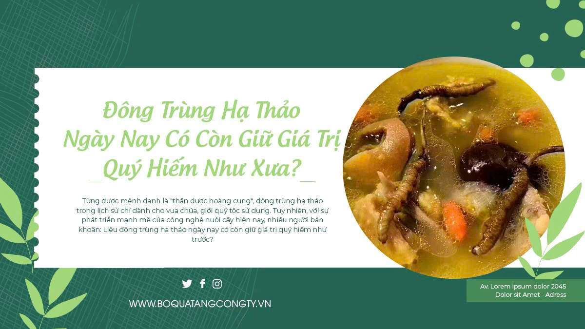 Đông Trùng Hạ Thảo Ngày Nay Có Còn Giữ Giá Trị Quý Hiếm Như Xưa?