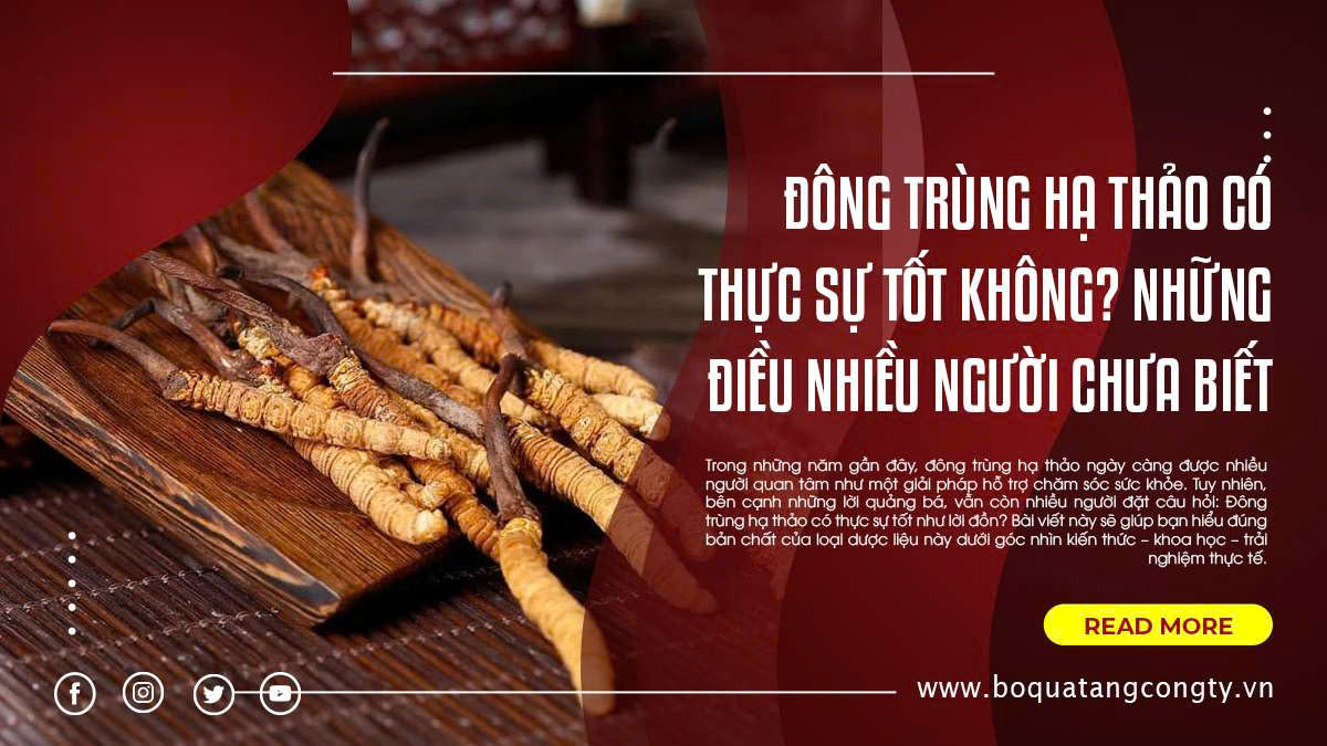 Đông trùng hạ thảo có thực sự tốt không? Những điều nhiều người chưa biết